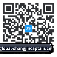 iOS 系统版 二维码